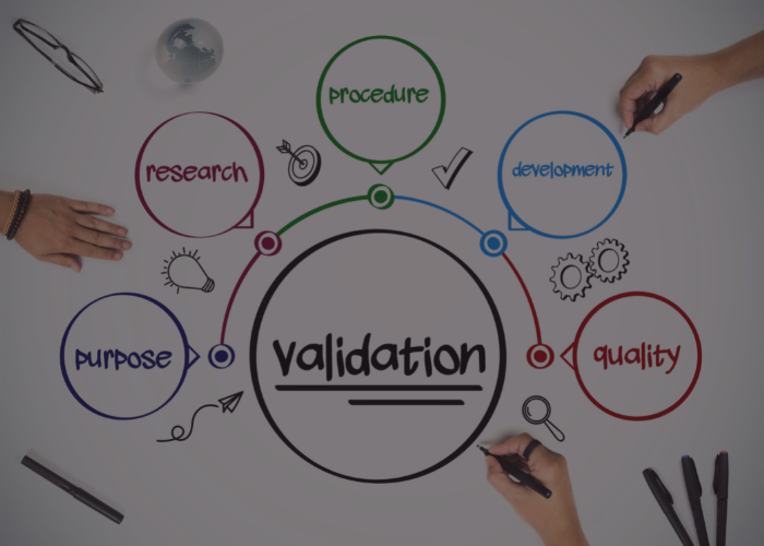 8 Amazing Steps To Your First Level Of Business Idea Validation