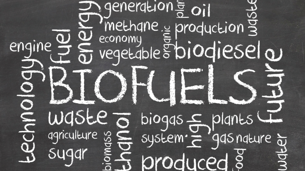 Biofuels manufacturing business
